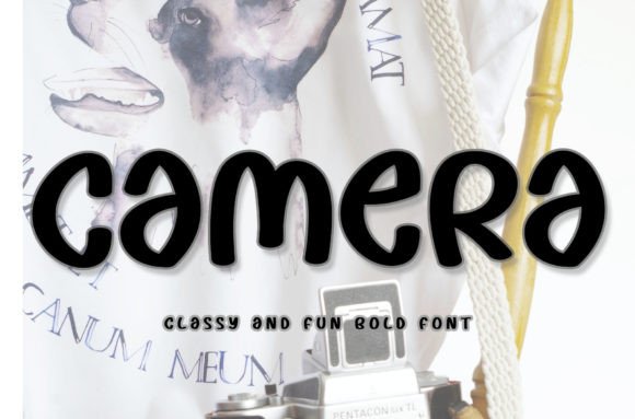 Camera: The Editorial Designer's Handwritten Font