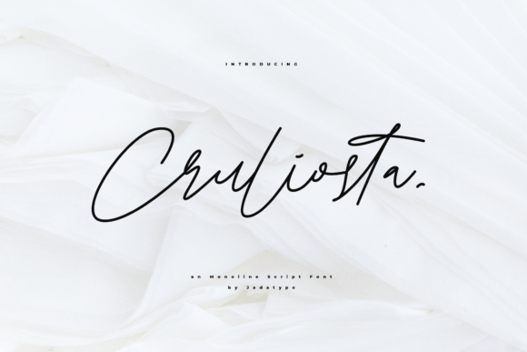 Cruliosta: A Handwritten Script Font Built for Modern Campaigns