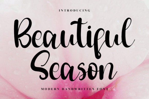 How Beautiful Season Font Turns Campaign Visuals into Conversations